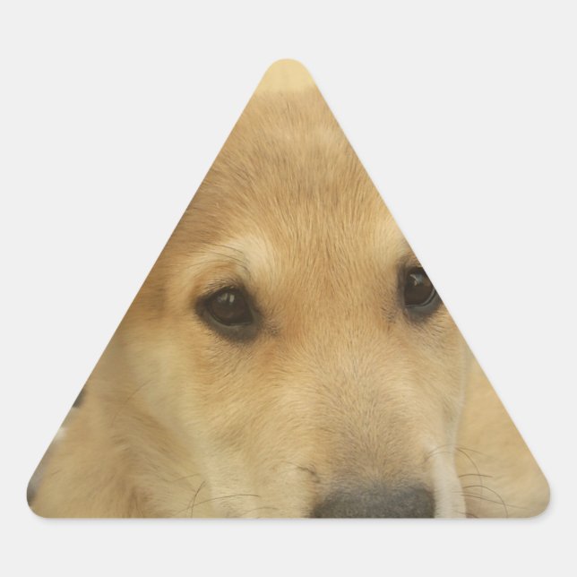 Sticker Triangulaire Puppy Love : Le meilleur ami de l'homme (Devant)