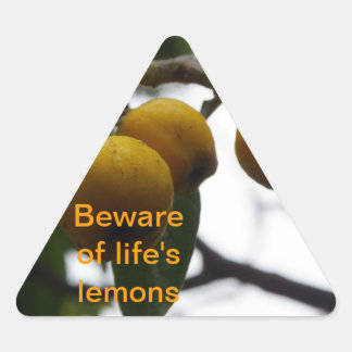 Sticker Triangulaire Quand La Vie Vous Donne Des Citrons...