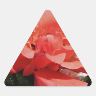 Sticker Triangulaire rose de pêche et détritus