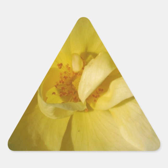 Sticker Triangulaire Rose jaune sauvage (Devant)