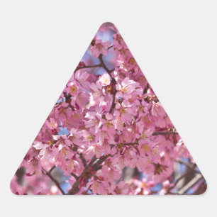 Sticker Triangulaire Sakura Pink Cherry Blossom Sky
