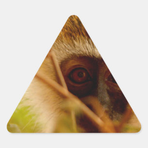 Sticker Triangulaire Singe Cheeky.