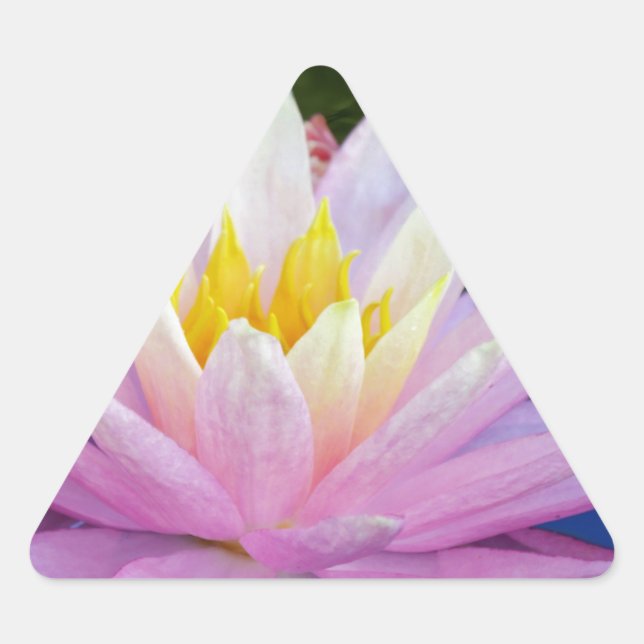Sticker Triangulaire Soft Pink Waterlily (Devant)