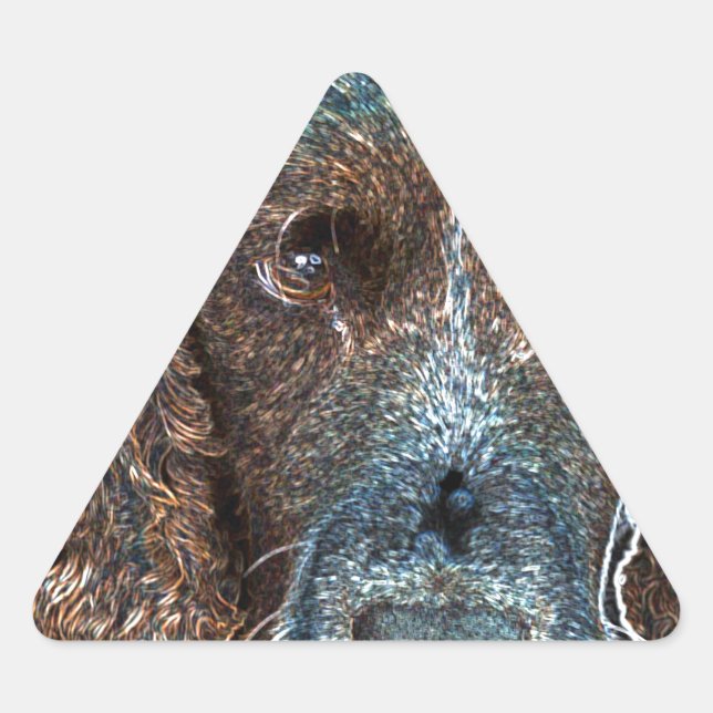 Sticker Triangulaire Springer anglais (Devant)