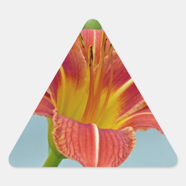 Sticker Triangulaire Tiger Daylily (Devant)