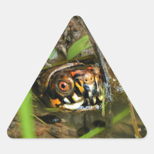 Sticker Triangulaire Tortue et têtards