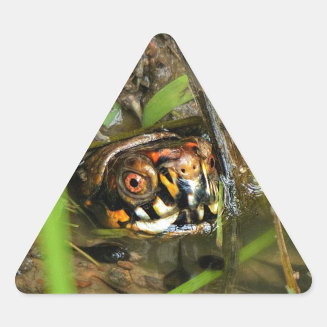 Sticker Triangulaire Tortue et têtards (Devant)