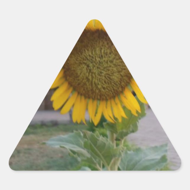 Sticker Triangulaire Tournesol (Devant)