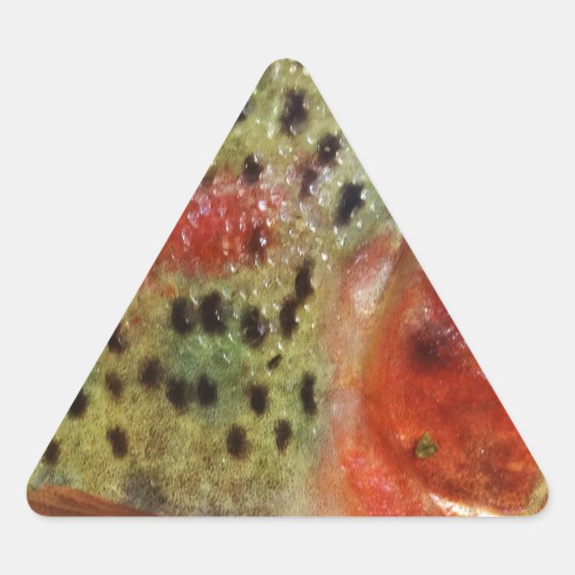 Sticker Triangulaire Truite en main (Devant)