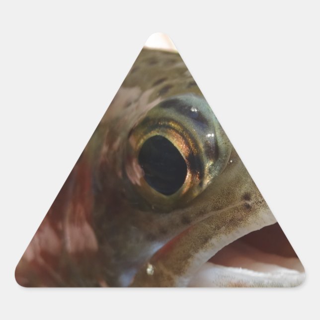 Sticker Triangulaire Truite en main (Devant)