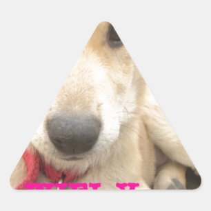 Sticker Triangulaire Tu Devrais WIFI Ton Amour Tous Les Jours