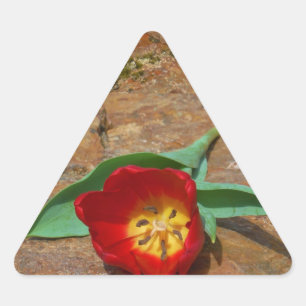 Sticker Triangulaire Tulipe rouge du printemps