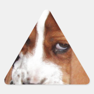 Sticker Triangulaire Votre image ici