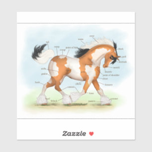 Sticker Tricolor Overo Pinto Gypsy Horse Anatomie Graphiqu