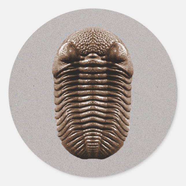 Sticker Trilobite (Devant)