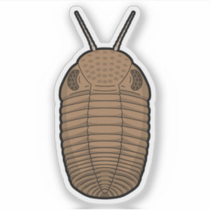 Sticker Trilobite Phacops Brown - Vinyle animal préhistori