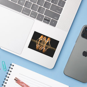 Sticker Trois impalas boivent ensemble la nuit