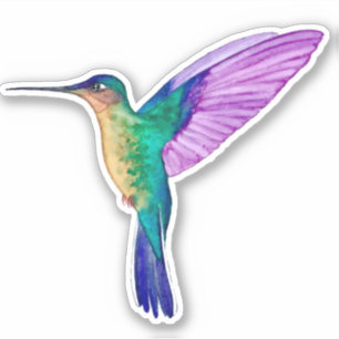 Sticker Tropical Hummingbird