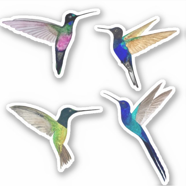 Sticker Tropical Hummingbirds (Devant)