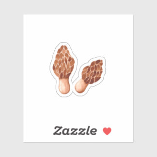 Sticker True Morels (Morchella)