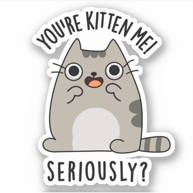 Sticker Tu es Kitten Me Sérieusement Drôle Pun de chat (Devant)