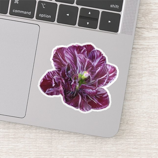 Sticker Tulipe Florale Lila Violet (Détail)