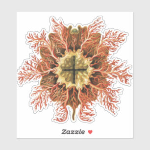 Sticker Tuniqué marin Ernst Haeckel, Art de la vie en mer 
