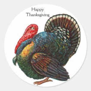 Sticker Turquie Thanksgiving