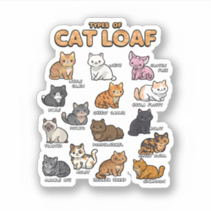 Sticker Types Pain de chat Cute Kitten Kawaii Chats Chat L