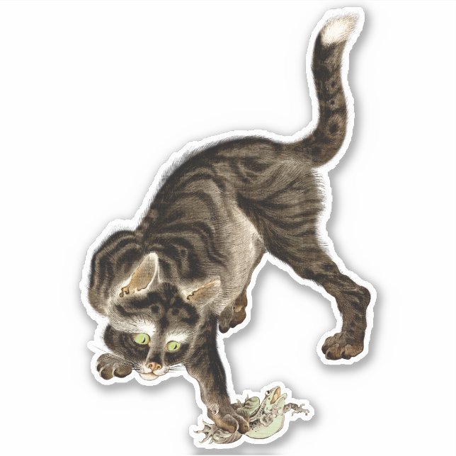 Sticker Un chat japonais attrape une grenouille (Devant)
