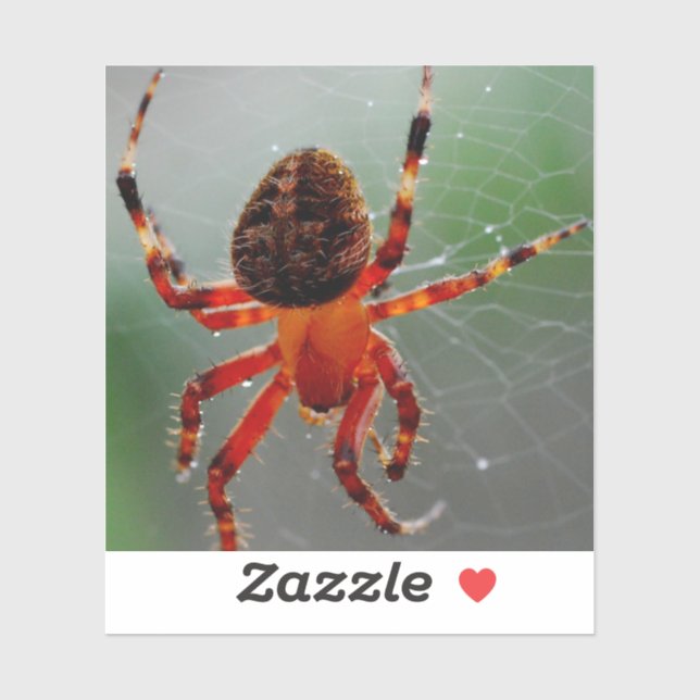 Sticker Une araignée affamée attend (Feuille)