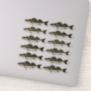 Sticker Une douzaine de brochettes de walleye