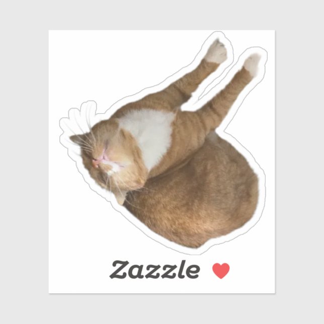 Sticker Upside-Down Sunshine Cat (Feuille)