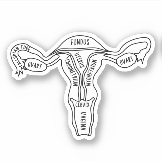 Sticker Uterus Anatomie, Féministe, Gynécologue, Sage-femm (Devant)