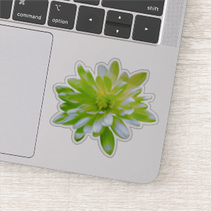 Sticker Vert turquoise fleurie jaune rétro Daisy