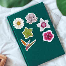 Vibrant Fleur sauvage coloré à la main et succulen