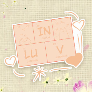 Sticker Vinyl Chat "In LuV"