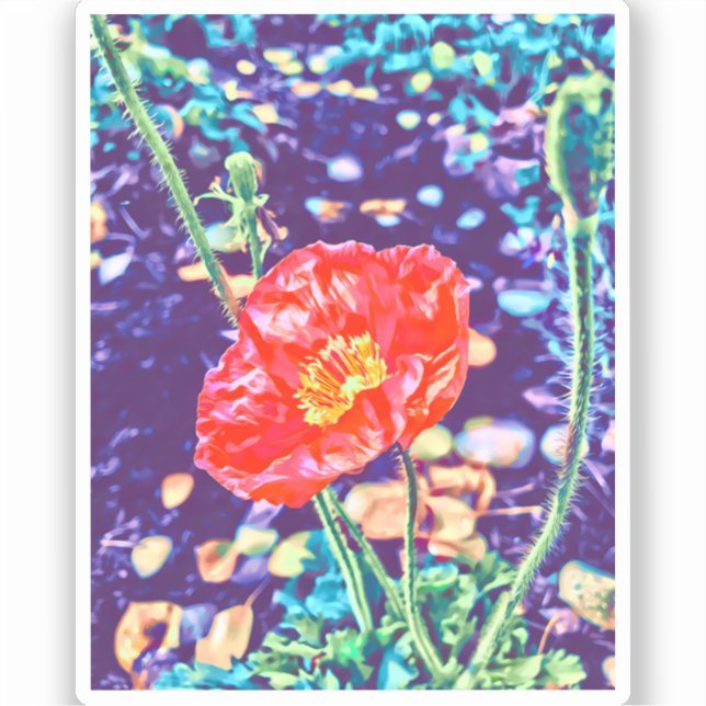 Sticker Vinyl Poppies sauvages (Recto)