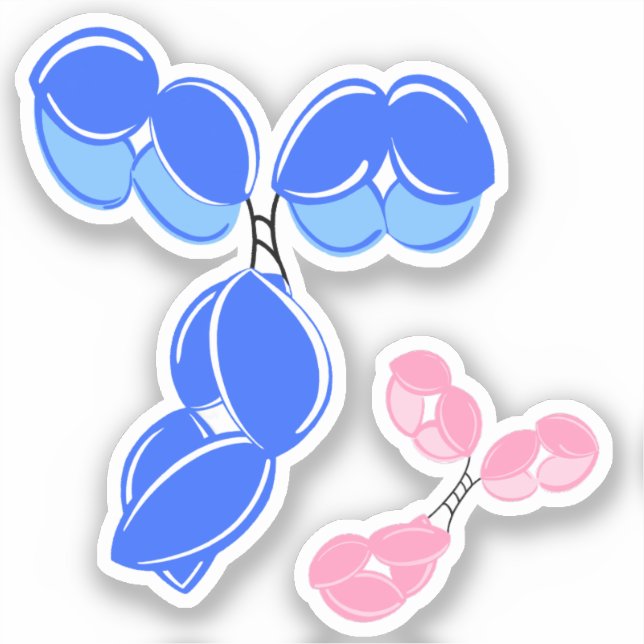 sticker vinyle - IgG bleu (anticorps) avec bonus (Recto)