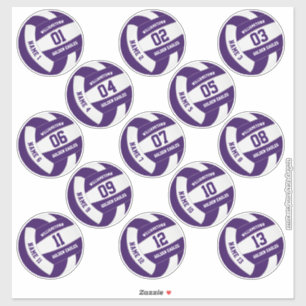Sticker violet blanc de l'équipe couleurs volleyball joue