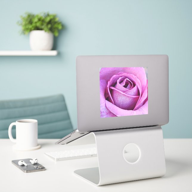 Sticker violet Rose gros plan (Ordinateur portable sur le bureau)