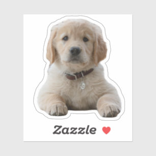 Sticker Votre image ici étanche portable individuel