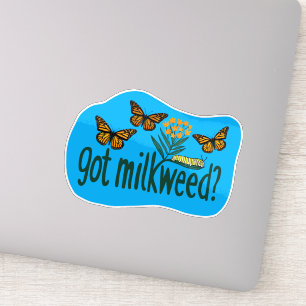 Sticker VOUS AVEZ DE L'ASCLEPIADE ? Plantes de chenilles d