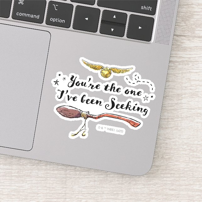 Sticker Vous êtes celui que je cherchais (Détail)