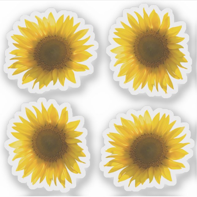 Sticker vraie image de tournesol jaune 4x set (Devant)