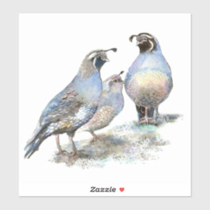 Sticker Watercolor California Quail Bird Nature Faune