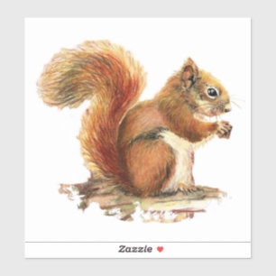 Sticker Watercolor Red Squirel Animal Nature Art