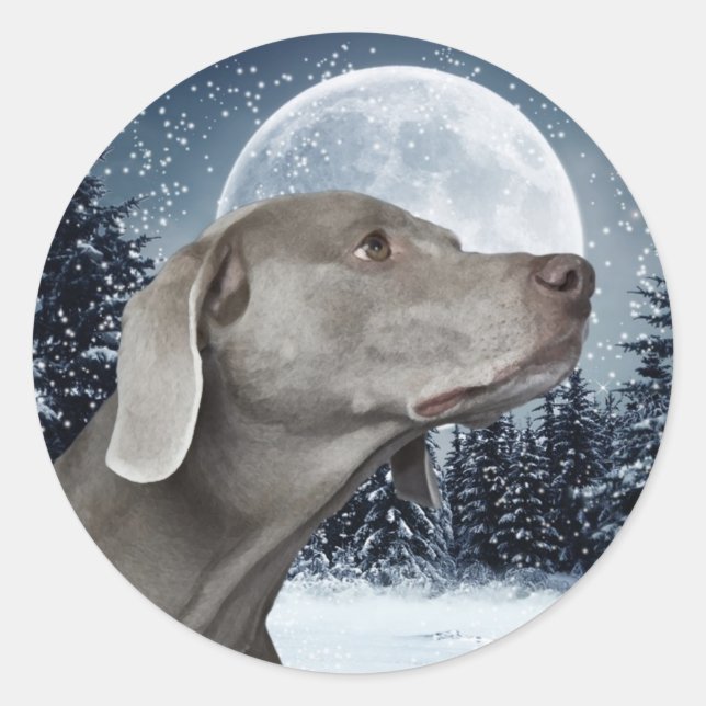 Sticker Weimaraner (Devant)