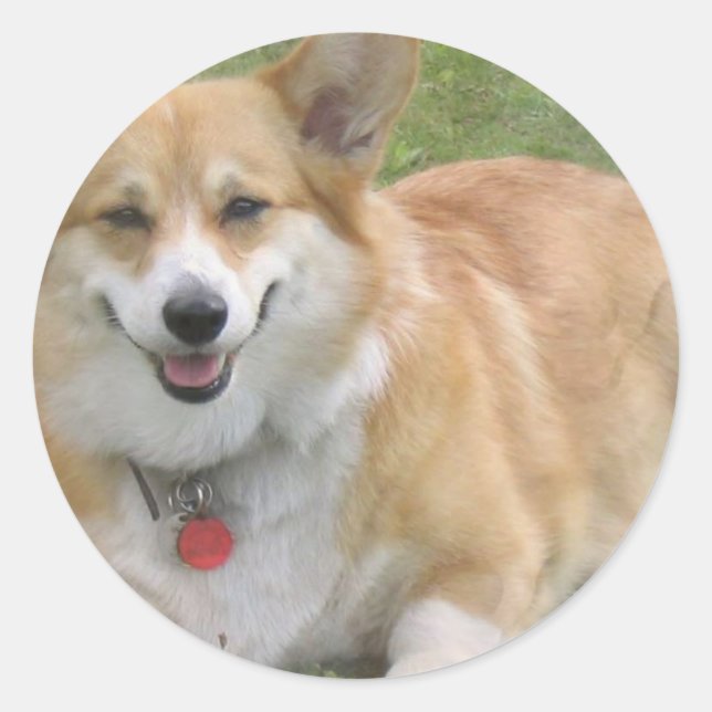 Sticker Welsh Corgi (Devant)