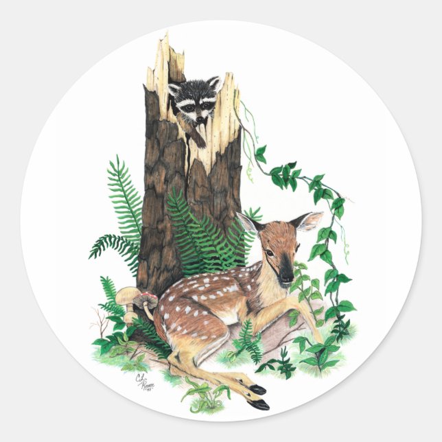 Sticker White Deer Fawn et Raccoon (Devant)